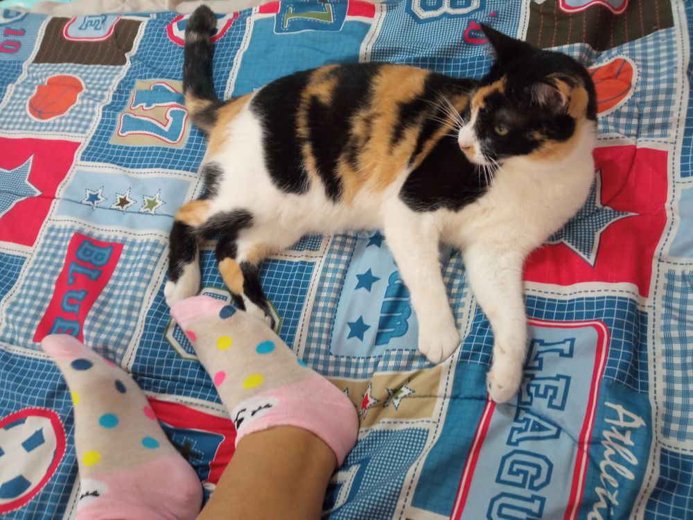 female_feet50 OnlyFans profile picture
