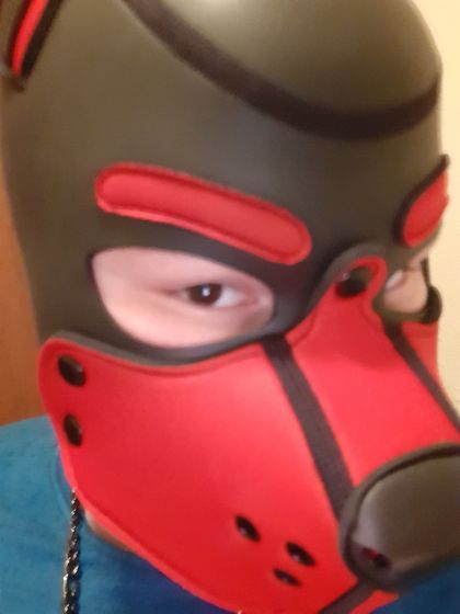 bacchy_puppy OnlyFans picture