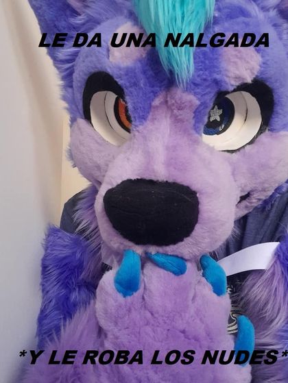 purpydahusky OnlyFans picture