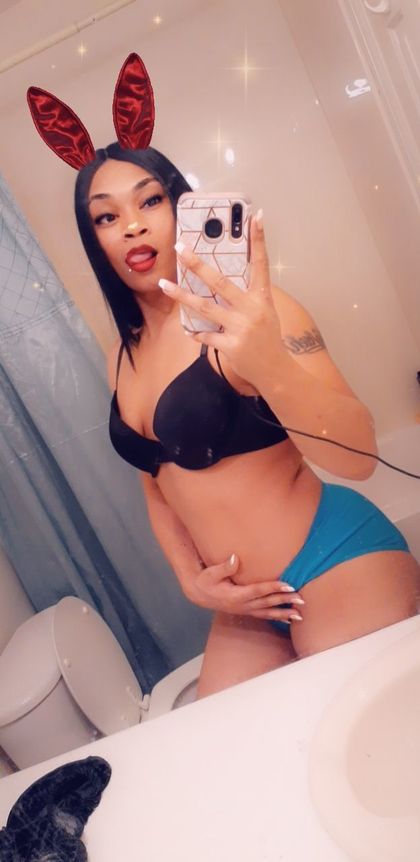 u88444337 OnlyFans picture