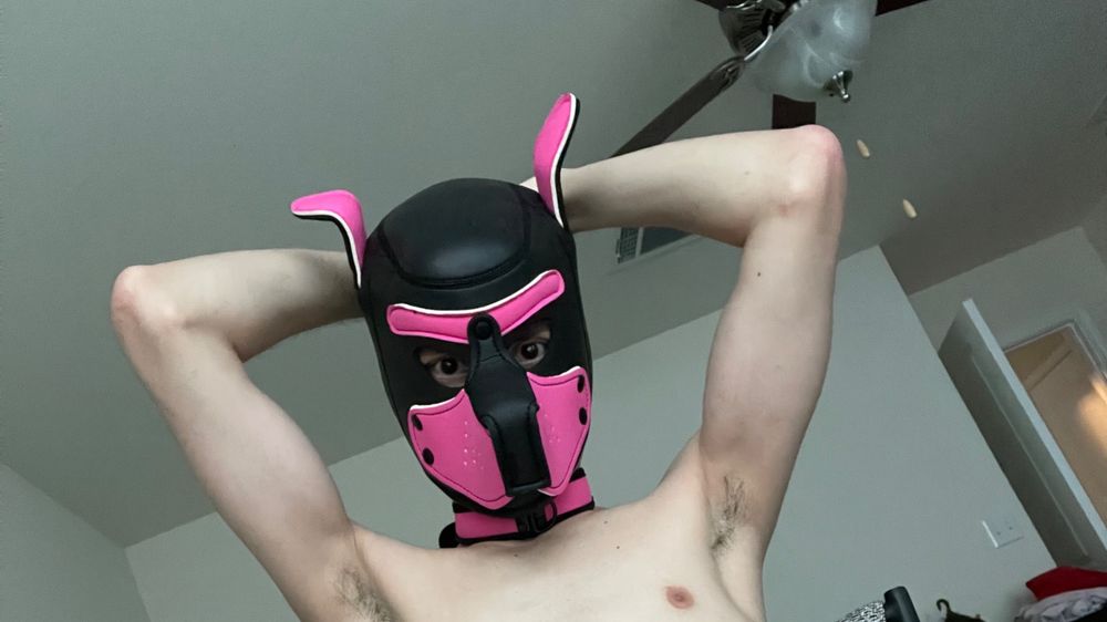 pup_matcha OnlyFans profile picture