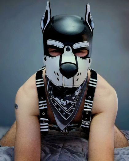 pup-olliee OnlyFans picture