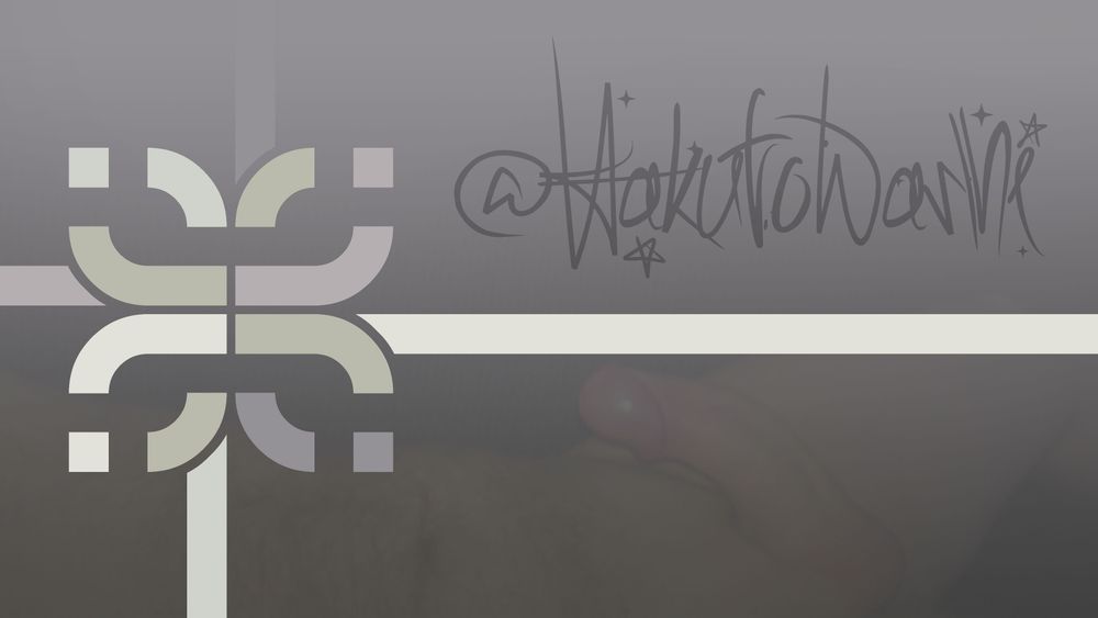 hakutowashi OnlyFans profile picture