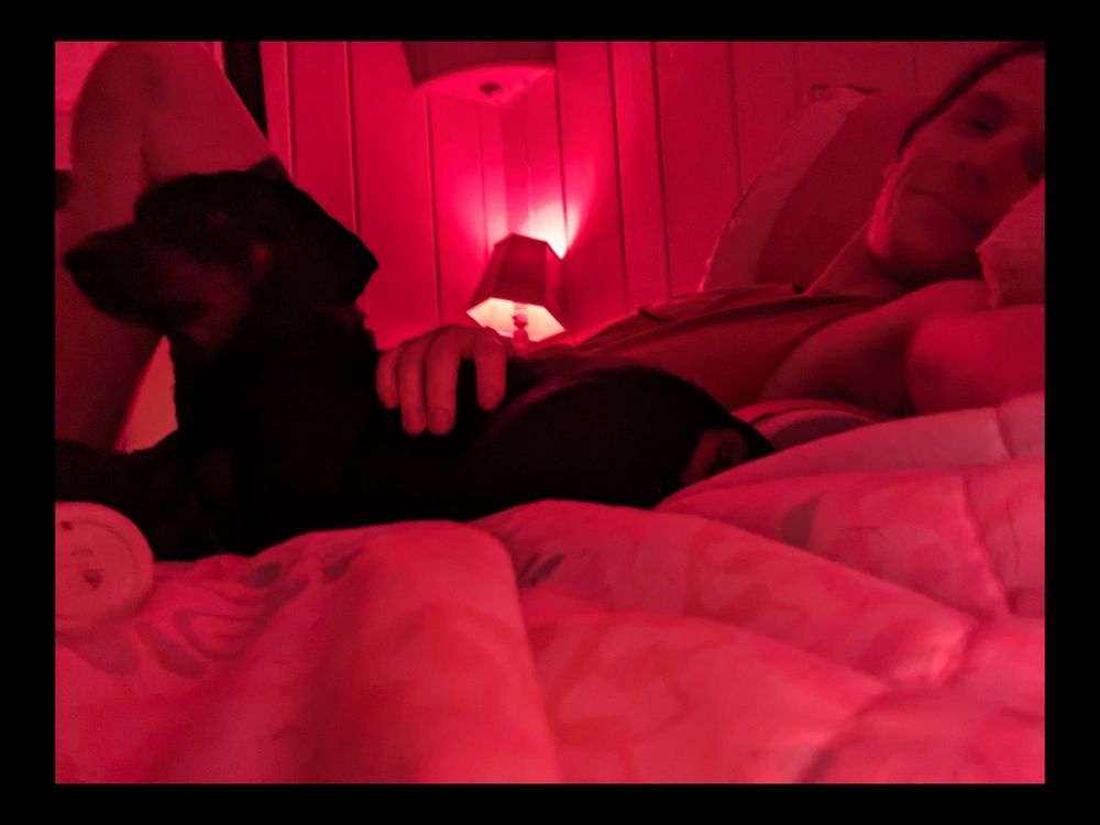 mrpillows OnlyFans profile picture