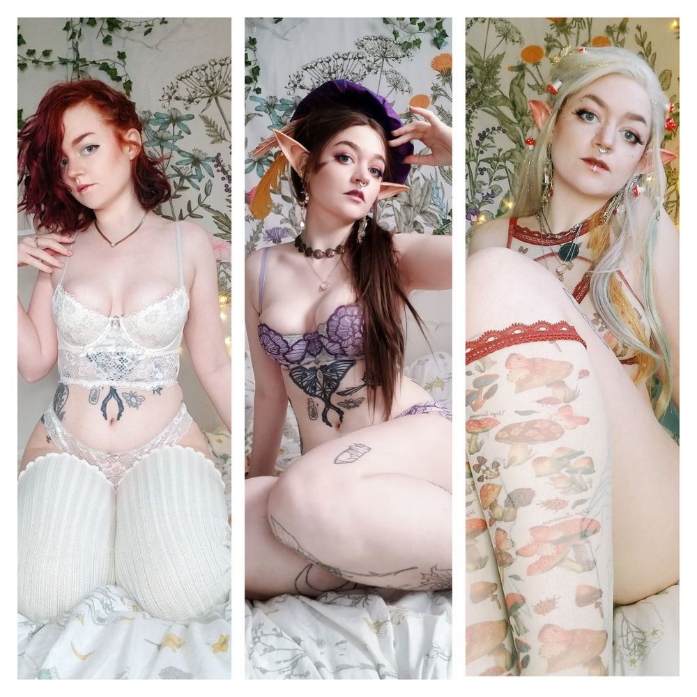 feedthefae OnlyFans profile picture