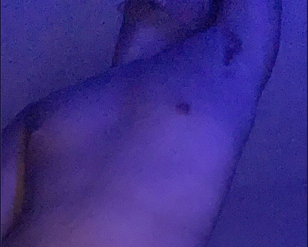 vinxxxfl OnlyFans profile picture
