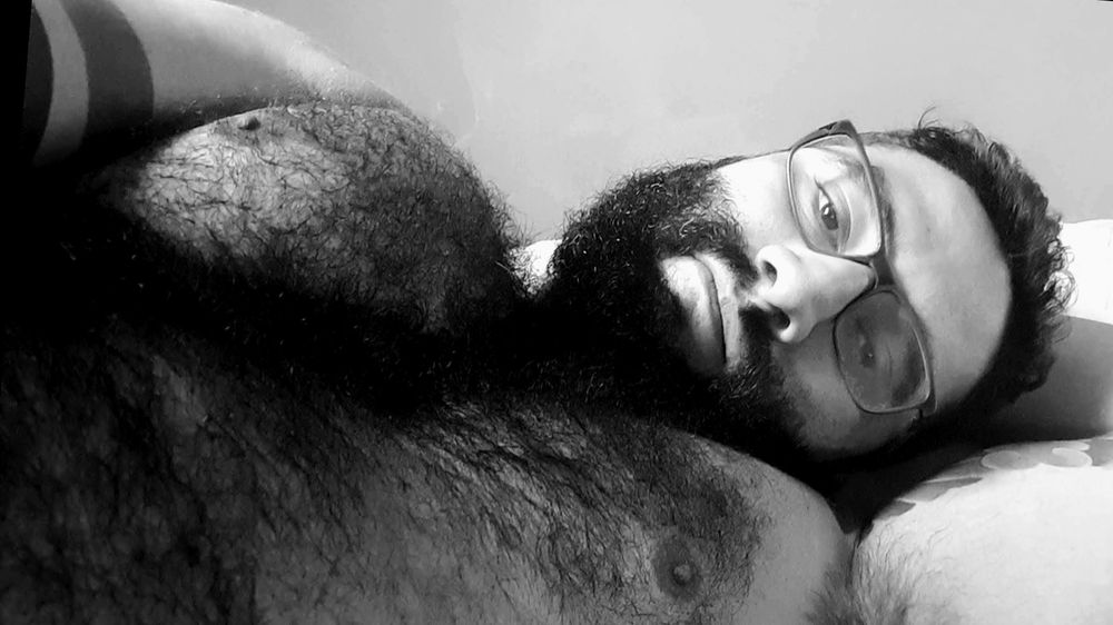 beefbearbr OnlyFans profile picture