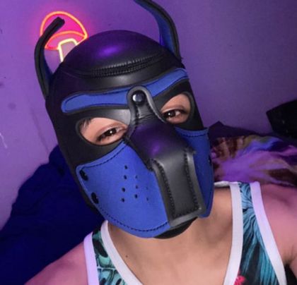pupgato OnlyFans picture