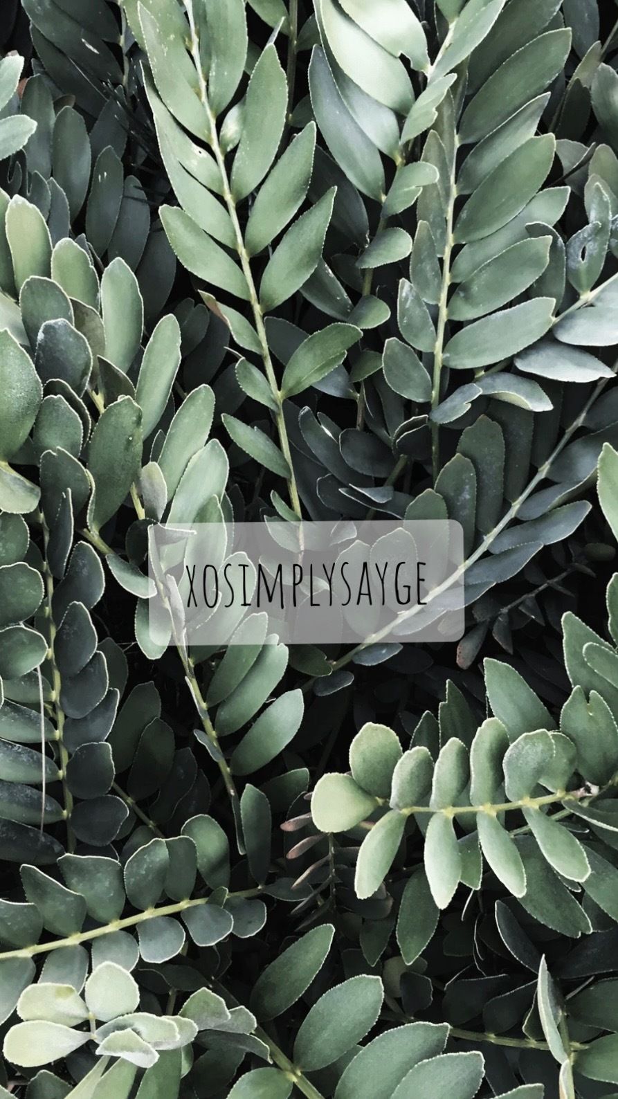 xosimplysayge OnlyFans profile picture
