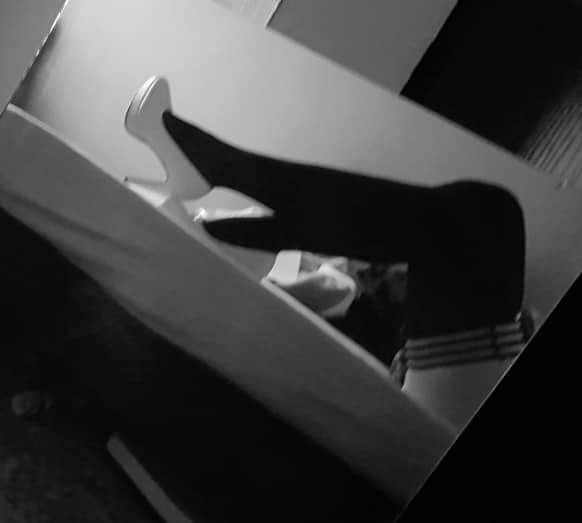 u70292201 OnlyFans profile picture