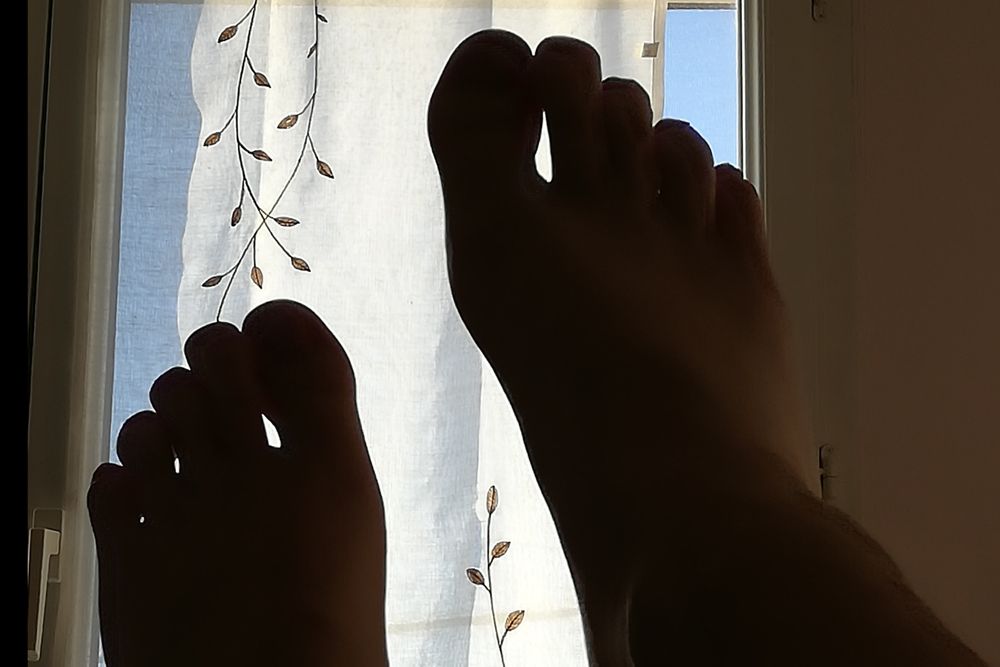 tippptoe OnlyFans profile picture