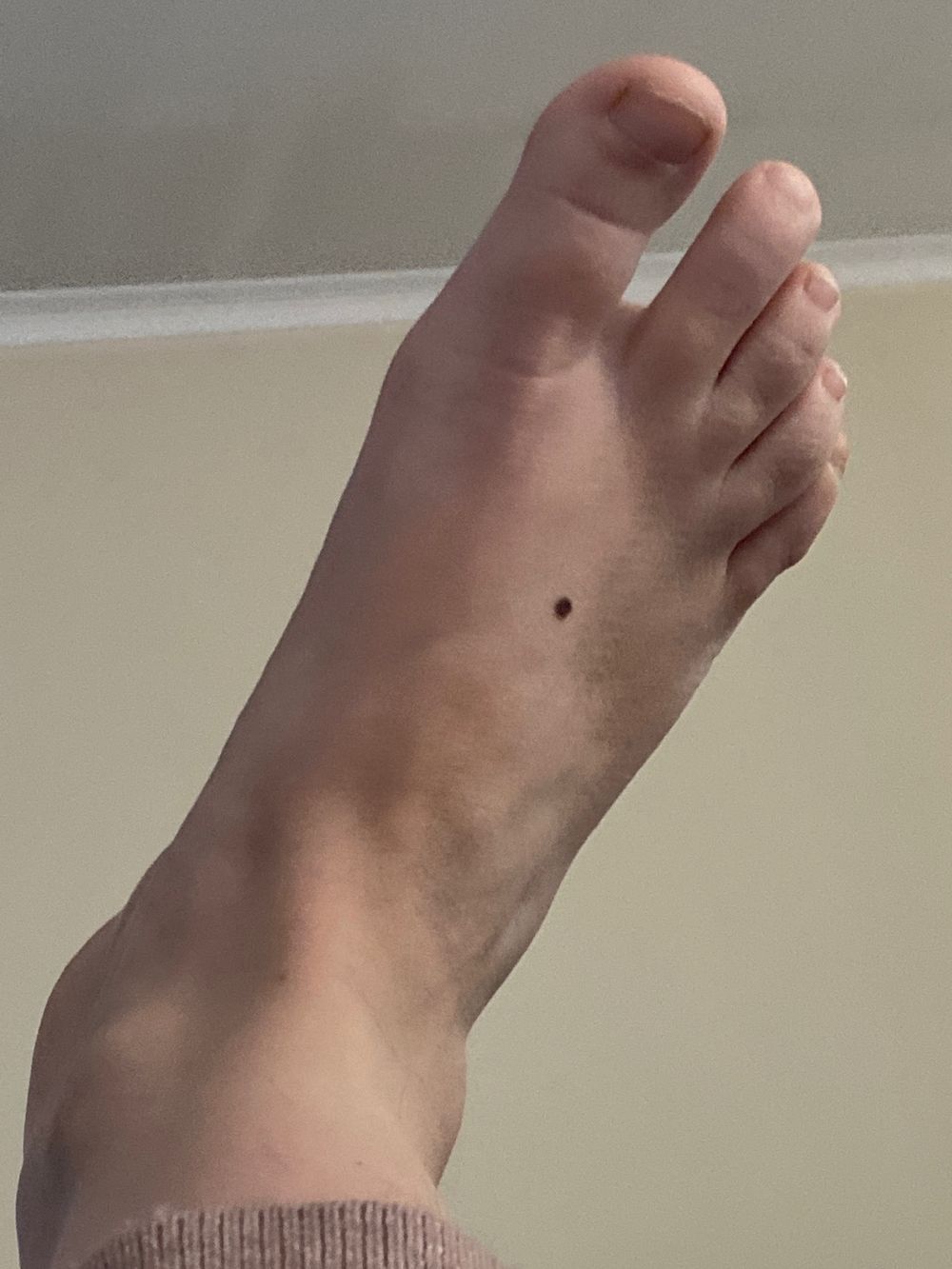 u46939362 OnlyFans profile picture