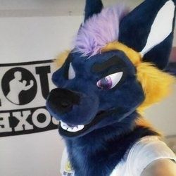 horizondoggo OnlyFans picture