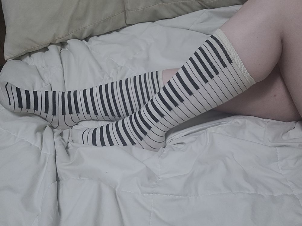 velvetpenrose OnlyFans profile picture