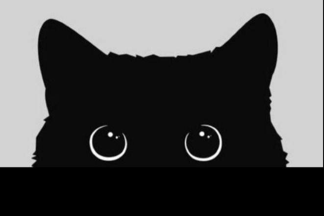 talyypies OnlyFans profile picture
