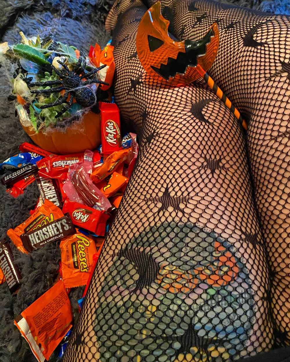 shacanashortcake OnlyFans profile picture