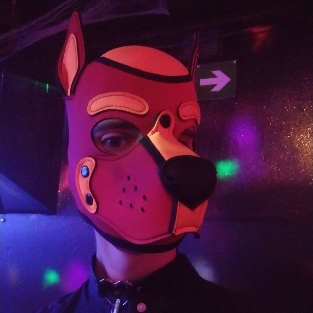 fritolo OnlyFans profile picture