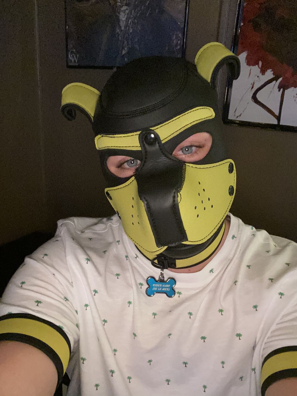 ryderhart OnlyFans profile picture