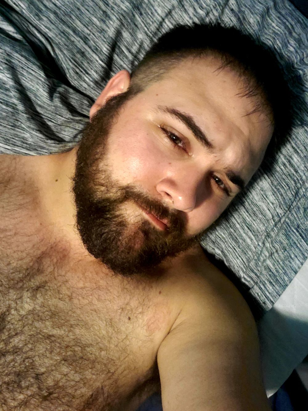 bearmastodon OnlyFans profile picture