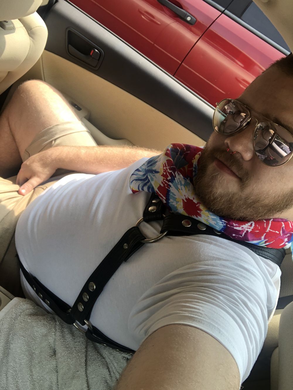 skaicbear OnlyFans profile picture