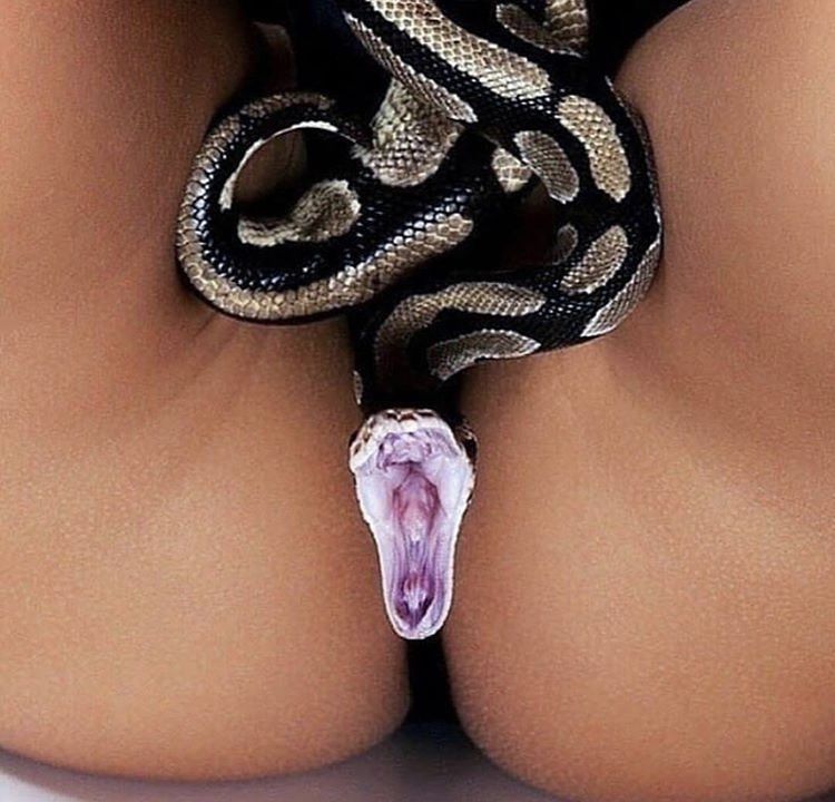 sirpapi1 OnlyFans profile picture