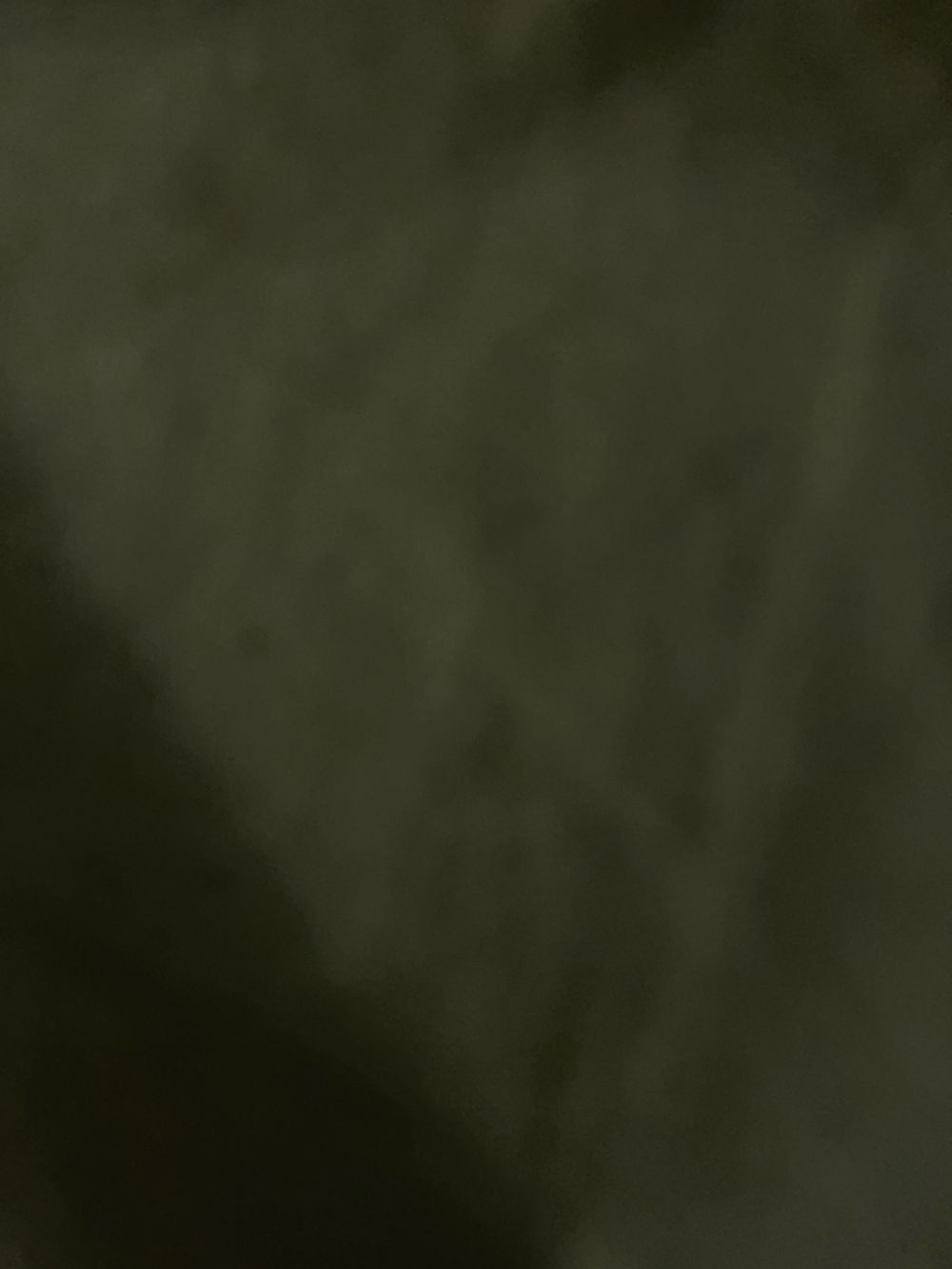 u262085790 OnlyFans profile picture