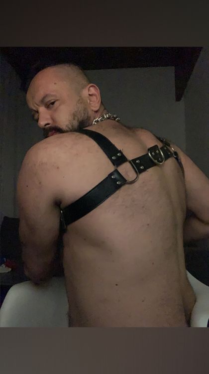 u171653082 OnlyFans picture