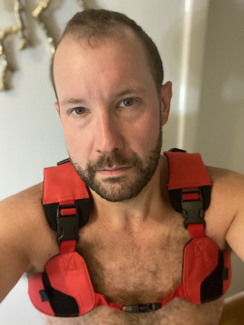 bdmartin83 OnlyFans profile picture