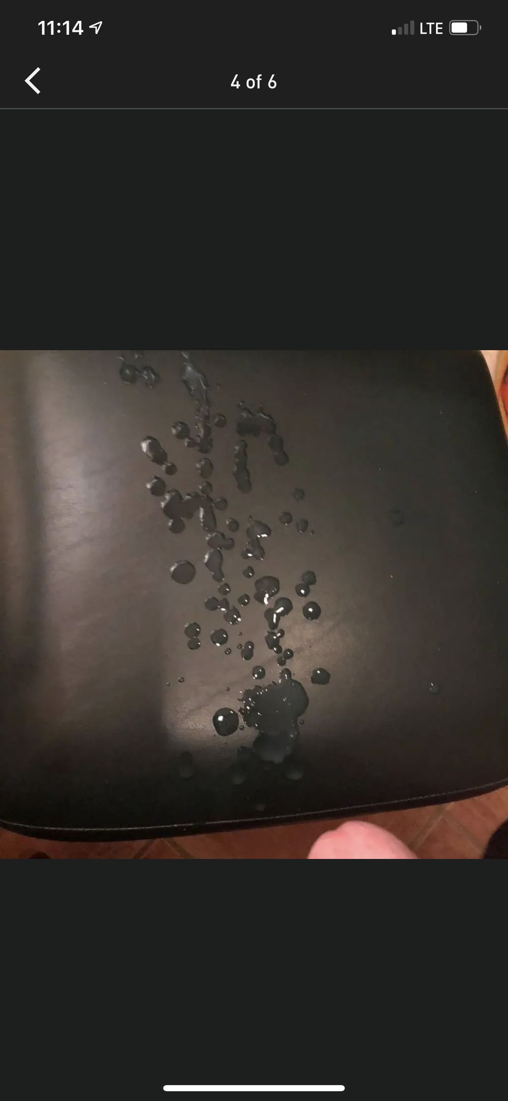 pupthirstx OnlyFans profile picture
