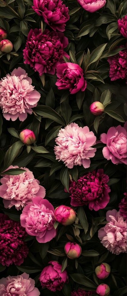 flowerks OnlyFans picture