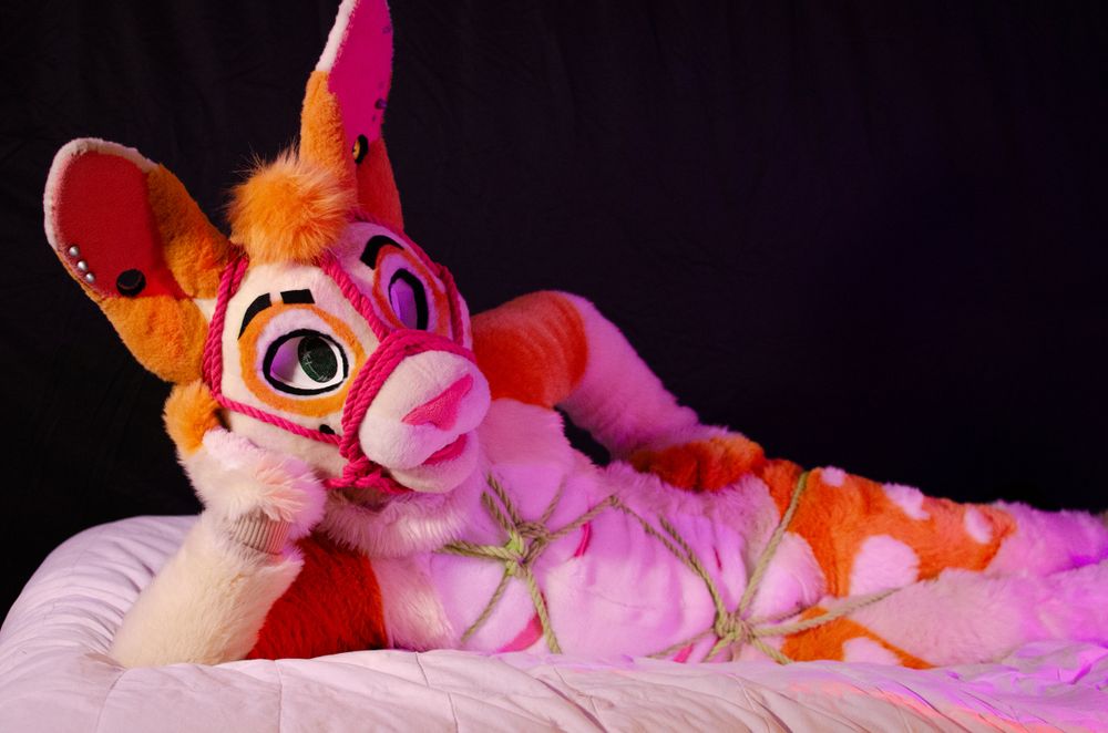 breedingbunnyy OnlyFans profile picture