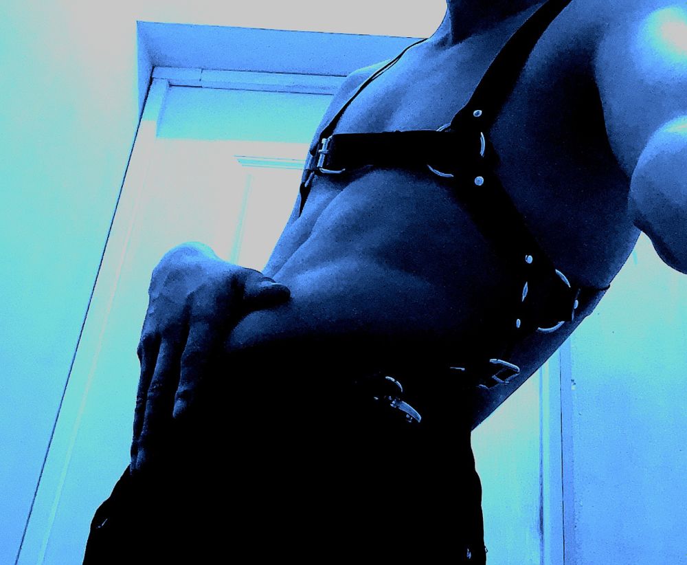 night_fox_diamond OnlyFans profile picture