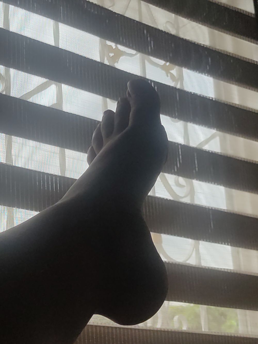 lanenalola23 OnlyFans profile picture