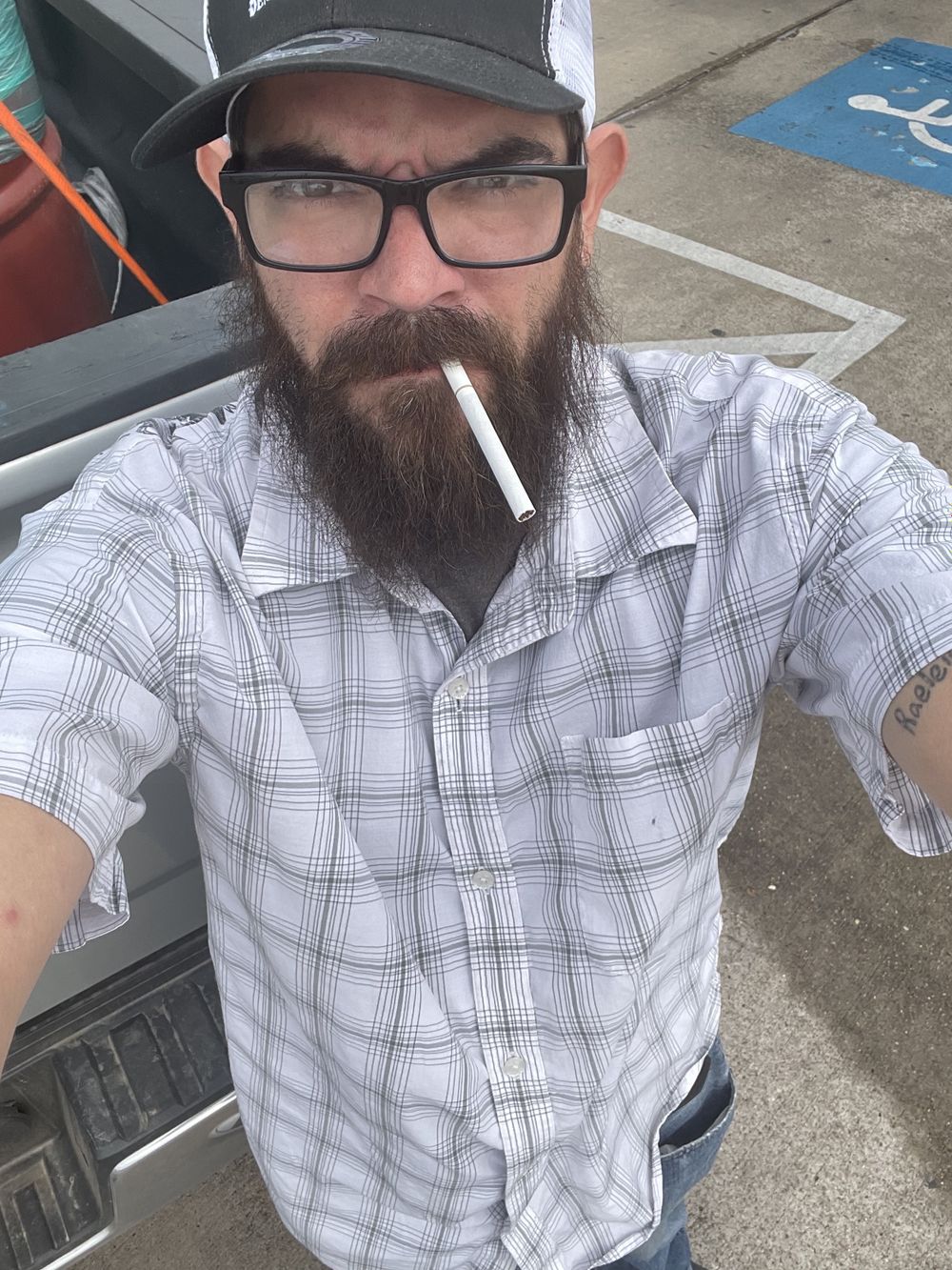 majesticallybeared OnlyFans profile picture