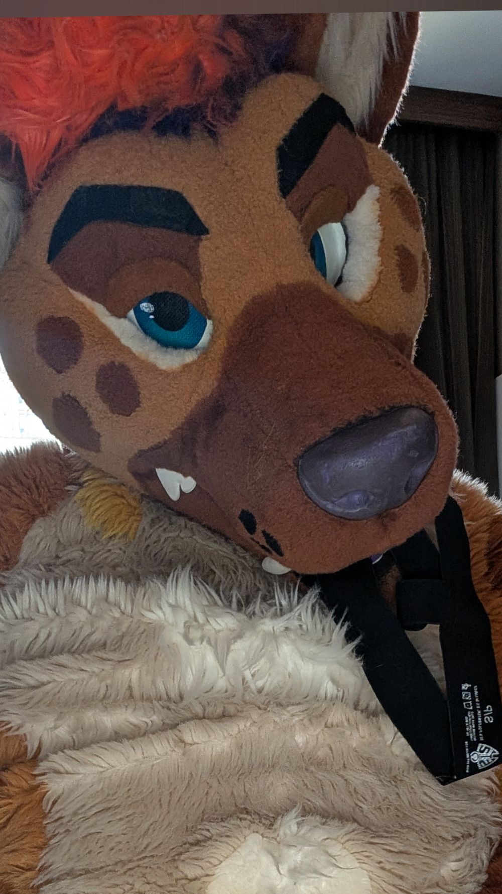 midnight_snaccs OnlyFans profile picture