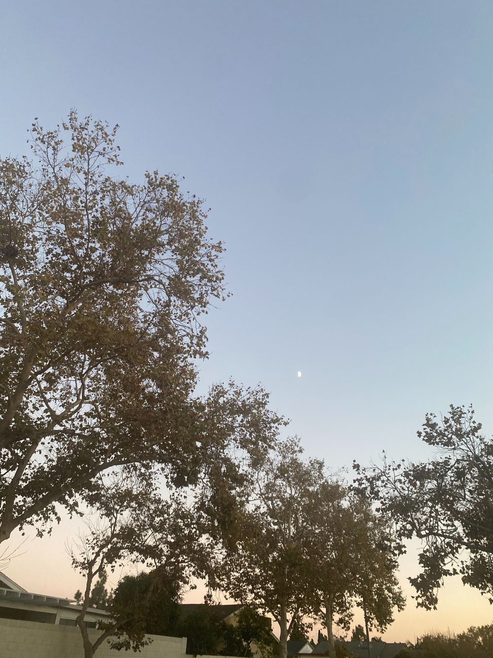 virgonasty OnlyFans profile picture