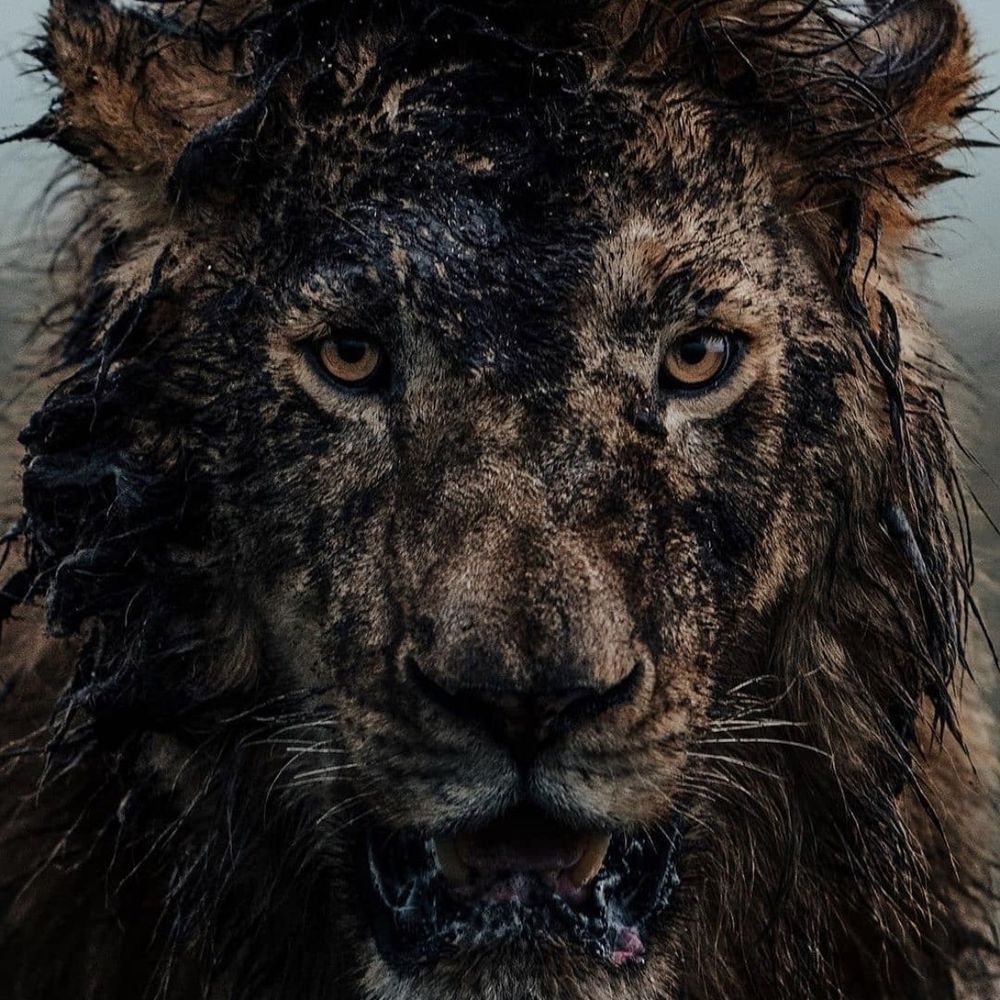 alottass OnlyFans profile picture