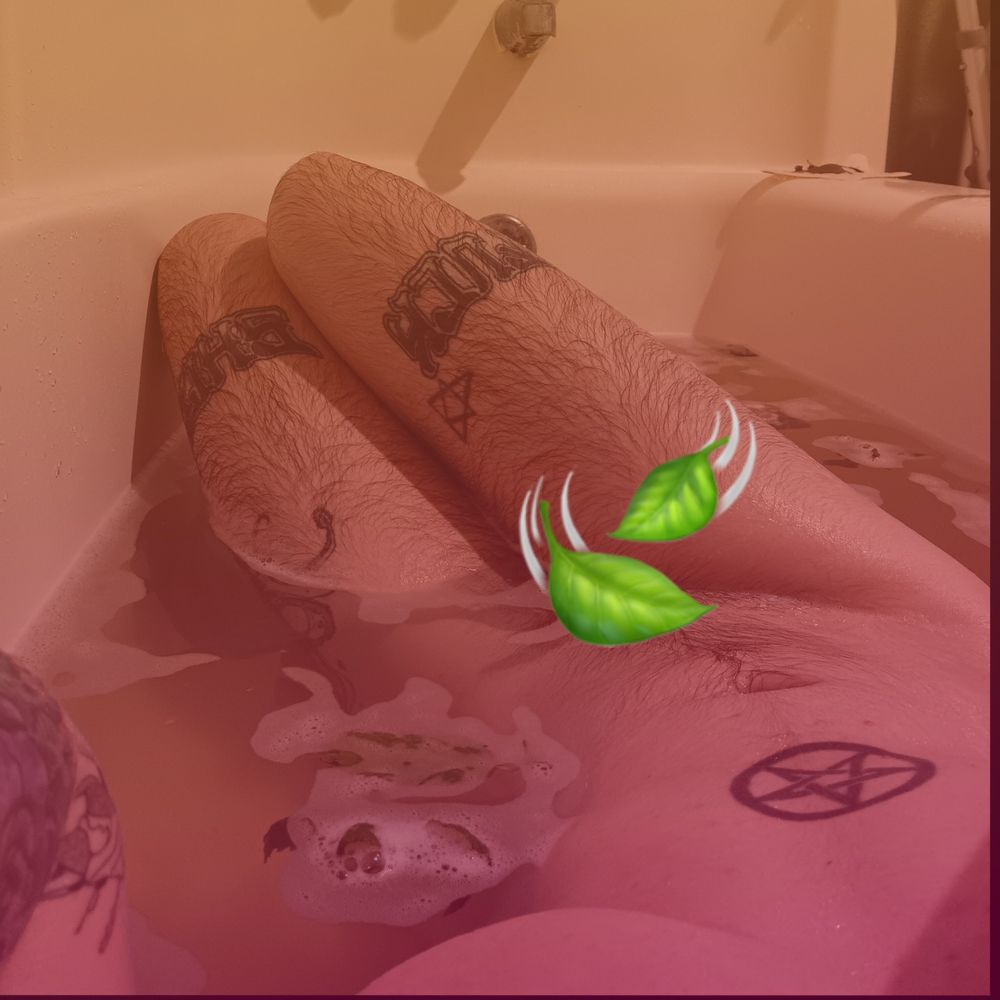 not_shane OnlyFans profile picture
