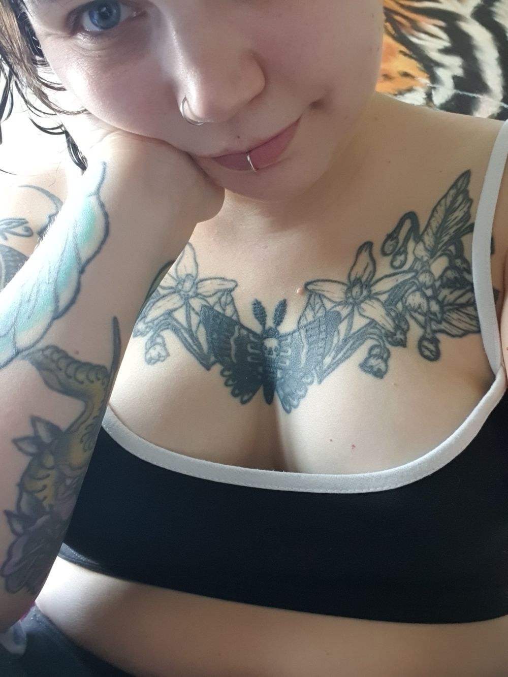 domestictammy OnlyFans profile picture