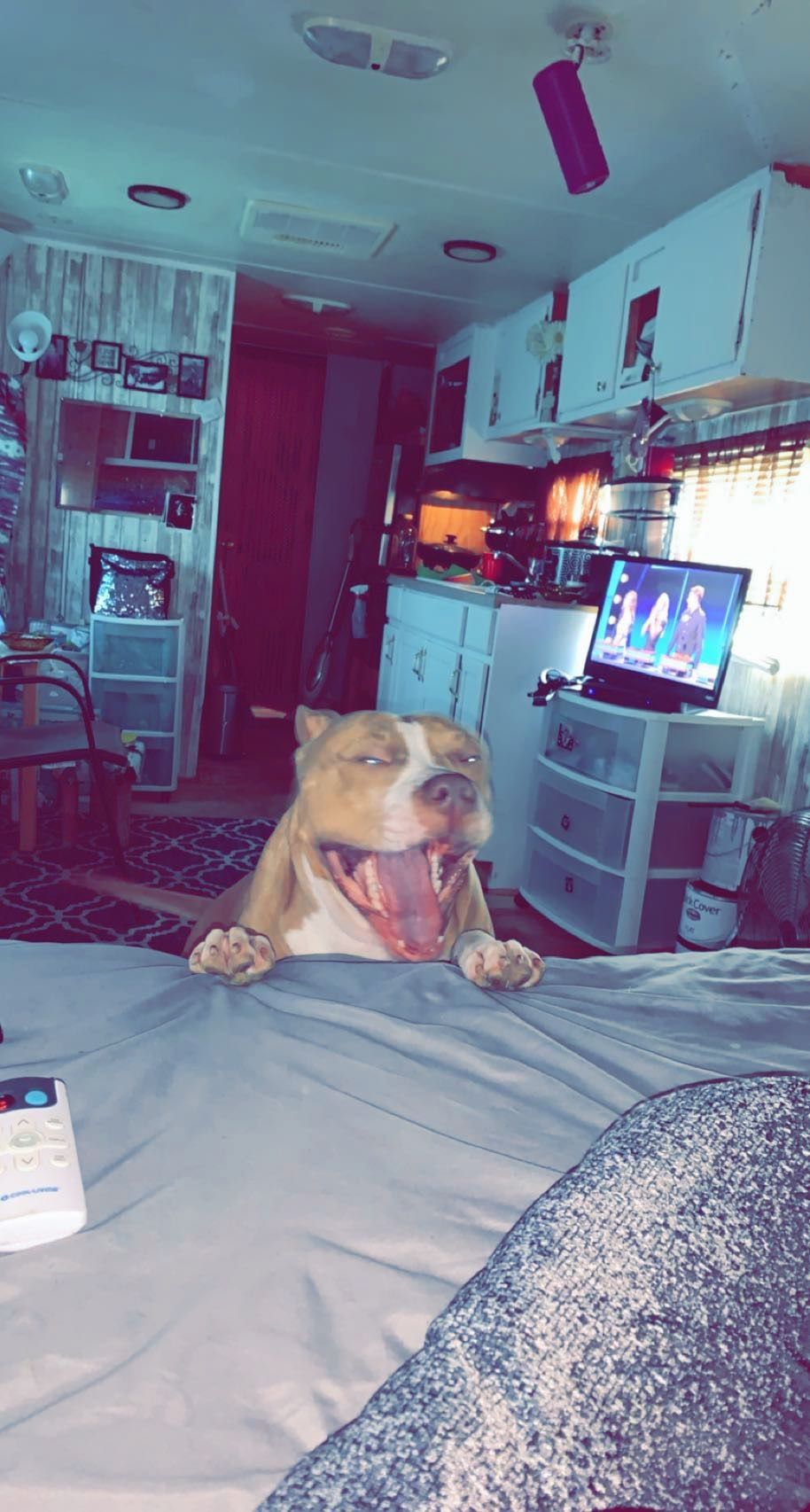 drewmaezing OnlyFans profile picture
