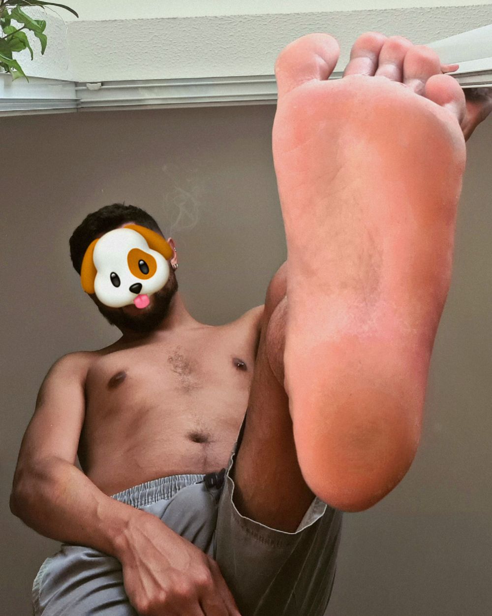 puphekaxxx OnlyFans profile picture