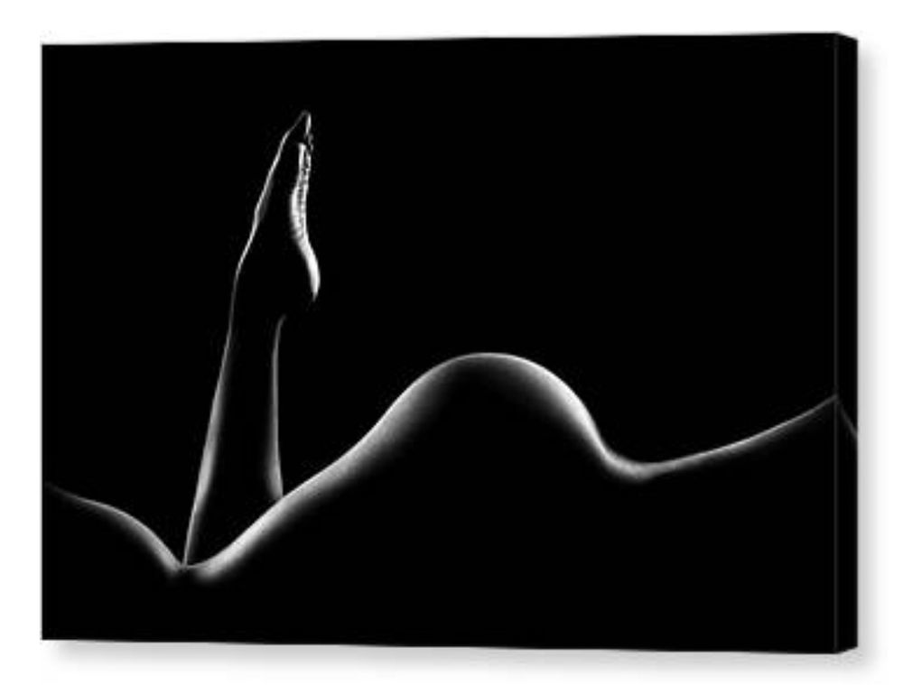 a.n.n.e.e OnlyFans profile picture
