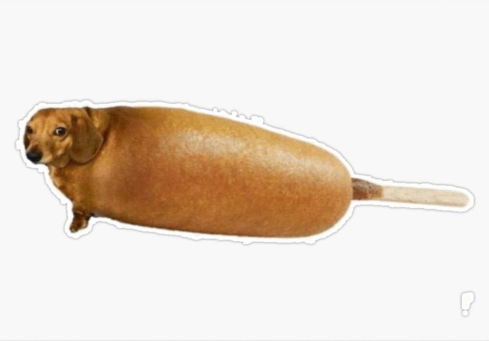 burntcorndog OnlyFans profile picture