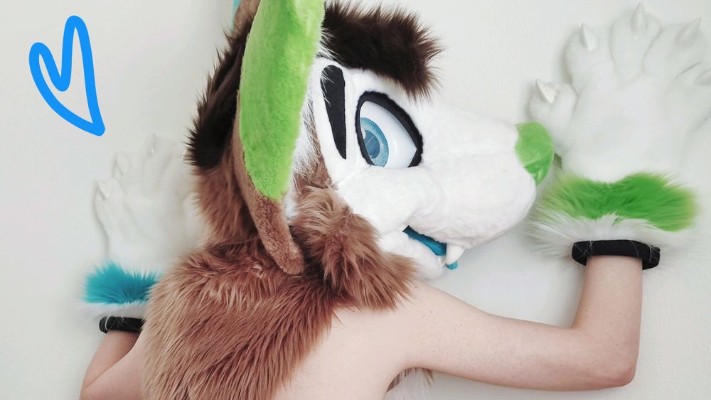 nowihusky OnlyFans profile picture