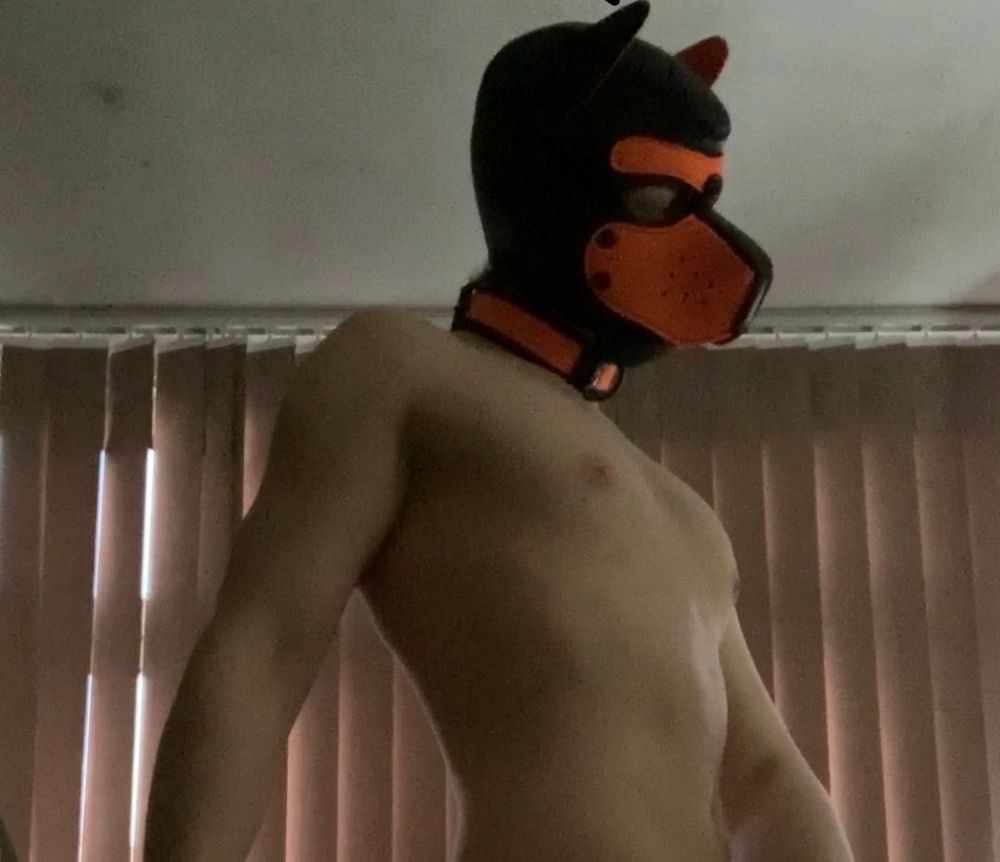 puppylukas OnlyFans profile picture