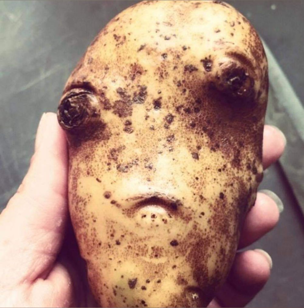 theonlyfanspotato OnlyFans profile picture