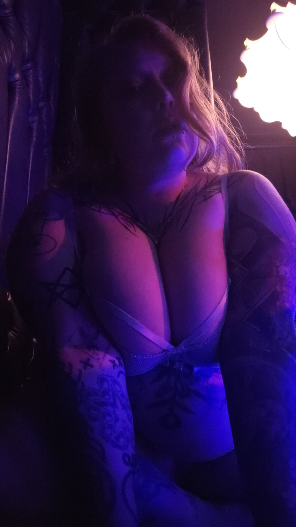 alexthepawg OnlyFans profile picture