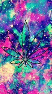 stonerkitten92 OnlyFans profile picture