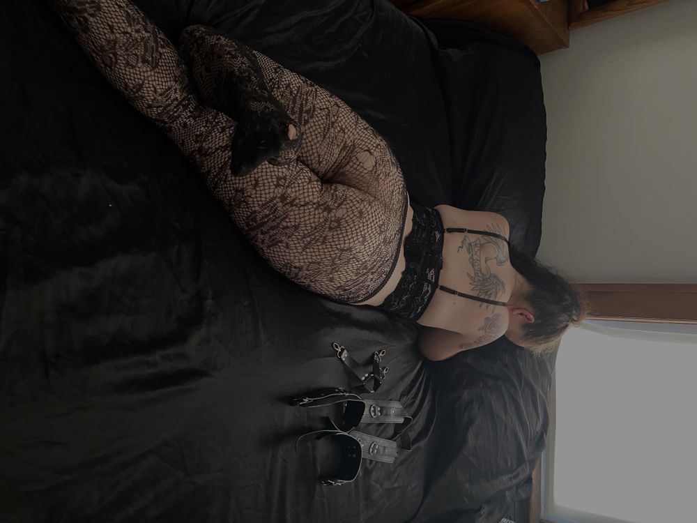 xpandax86 OnlyFans profile picture