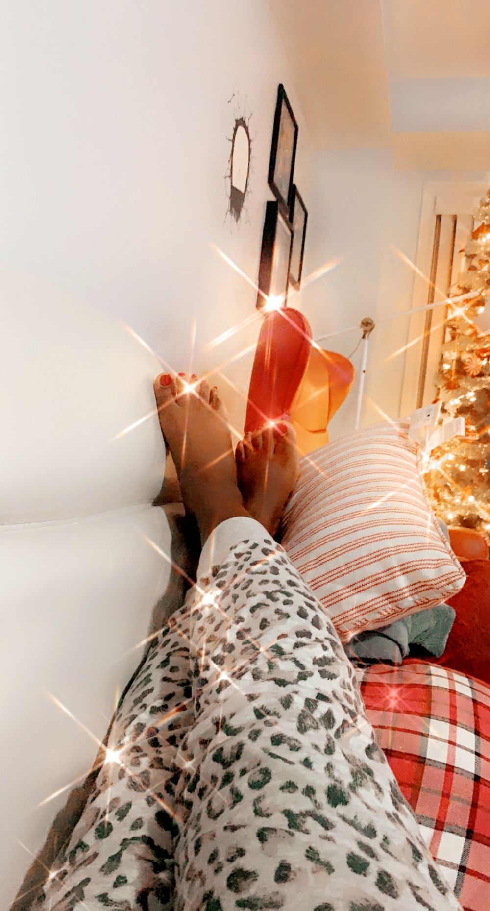 sweetmaplefeet OnlyFans profile picture